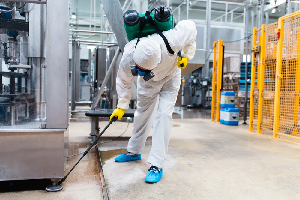 Commercial pest control service in South Florida